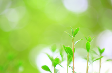 環境に関するご相談はコチラ